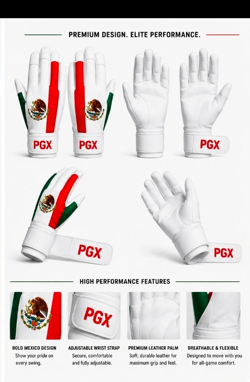 PGX Mexico batting gloves leather palm view