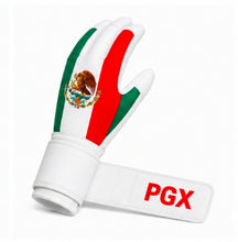 PGX Mexico batting gloves back-of-hand design